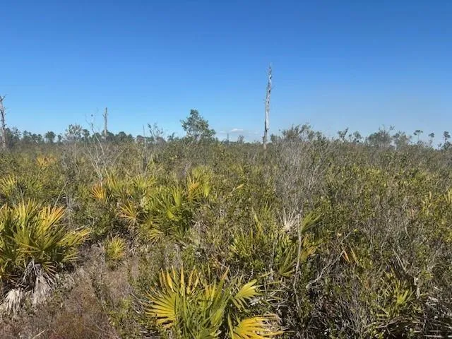 Hwy 630e Frostproof, FL 33843