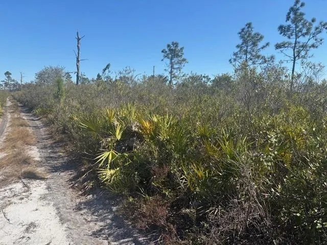 Hwy 630e Frostproof, FL 33843