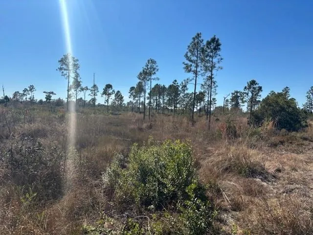 Hwy 630e Frostproof, FL 33843