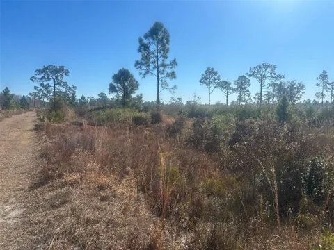 Xeriscape Nursery Road