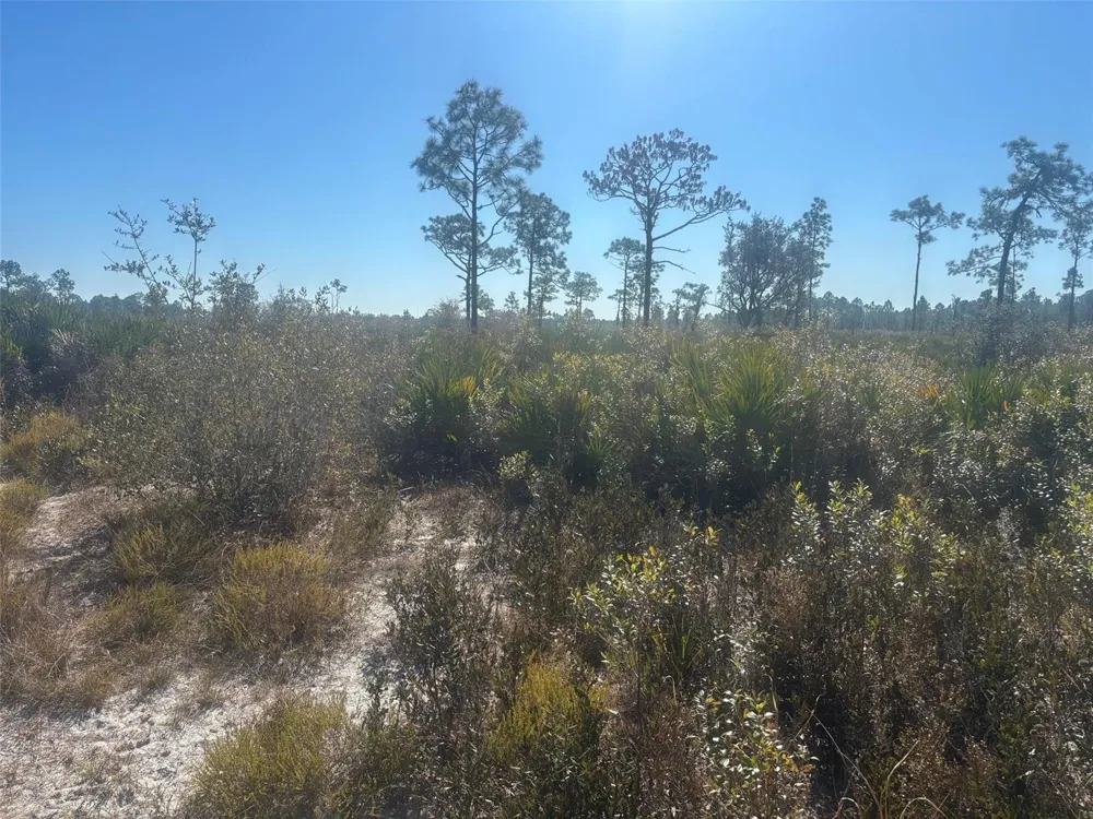 Xeriscape Nursery Road Frostproof, FL 33898