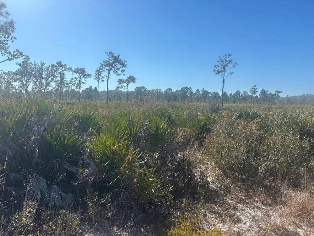 Xeriscape Nursery Road Frostproof, FL 33898