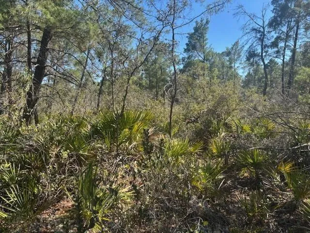 10681 Interlacher Drive Sebring, FL 33852