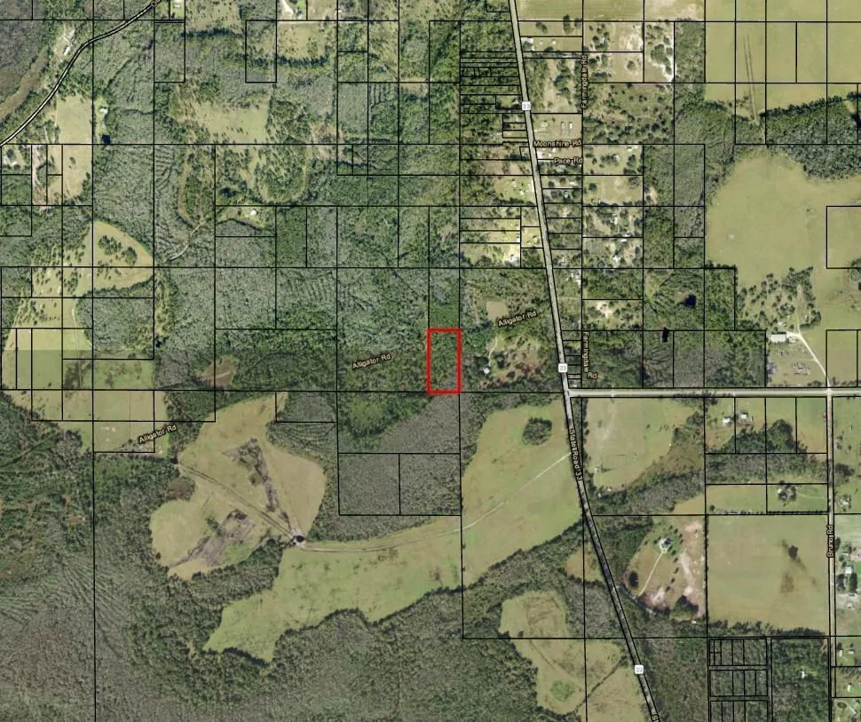 Alligator Road Clermont, FL 33868
