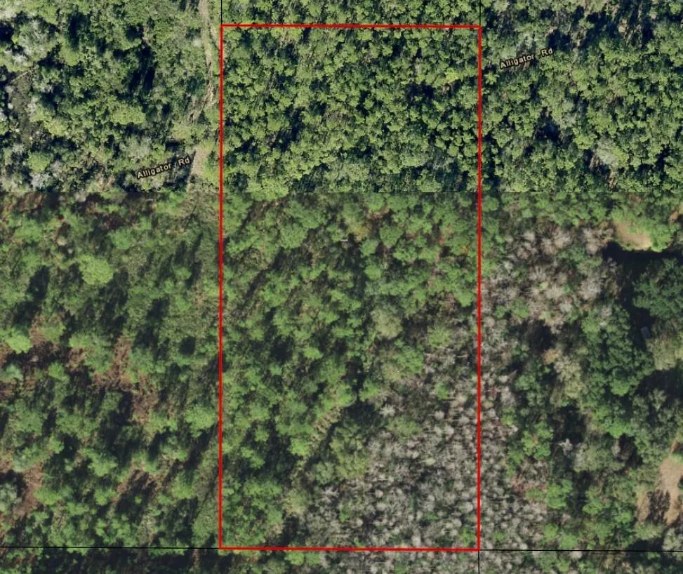 Alligator Road Clermont, FL 33868