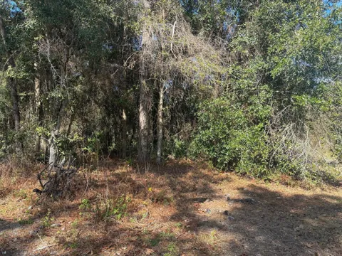 7178 W Wildfire Lane