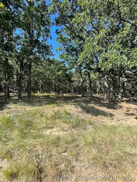 Fox Road