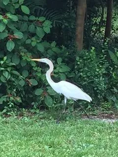 7713 Park Lane Road Lake Worth, FL 33449