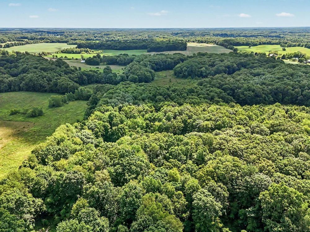 12017 Lilac Lane Johnstown Township, MI 49050