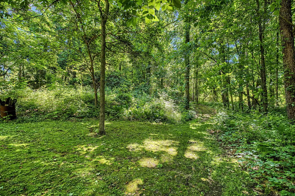 12017 Lilac Lane Johnstown Township, MI 49050