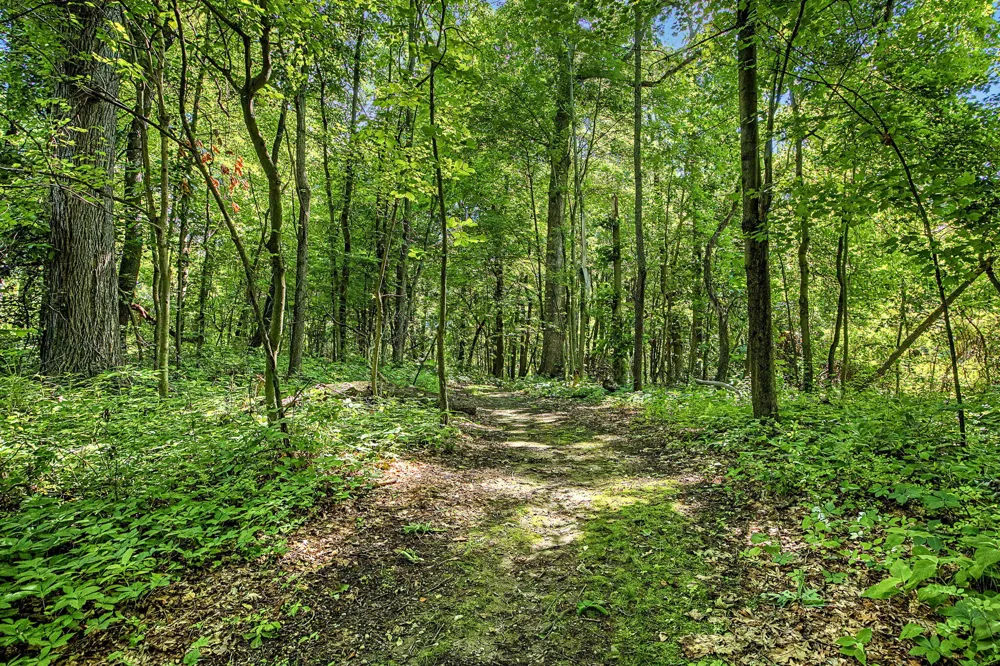 12017 Lilac Lane Johnstown Township, MI 49050