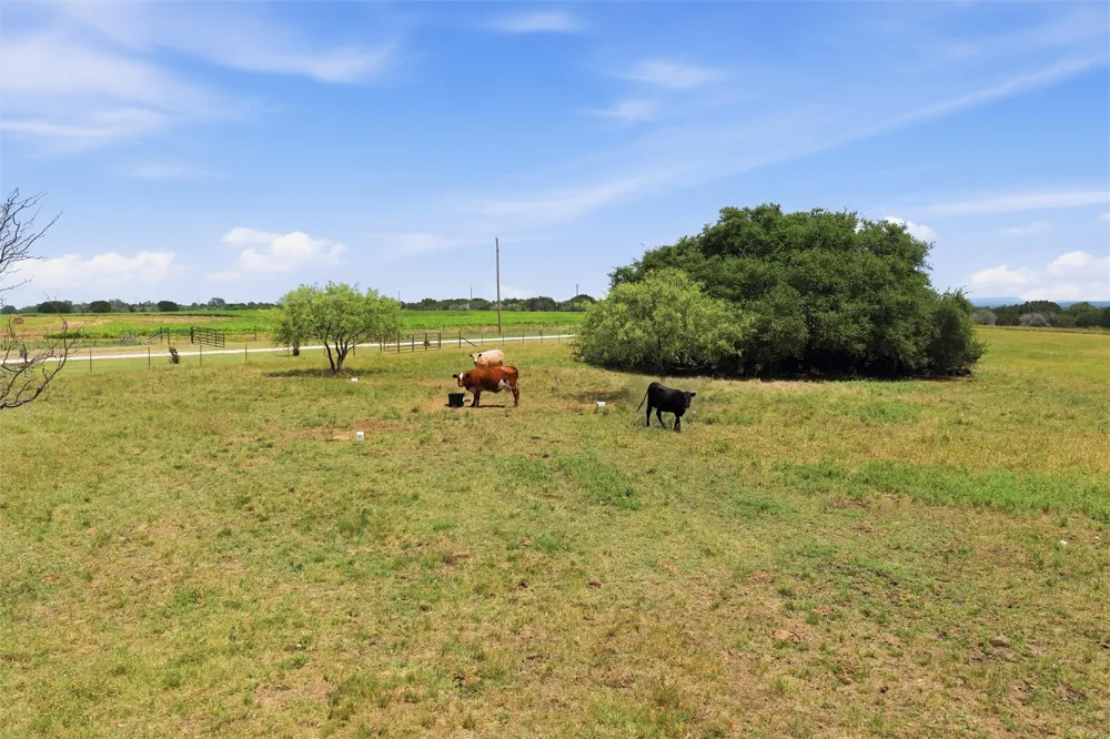 5835 Fm 1744 Hico, TX 76457