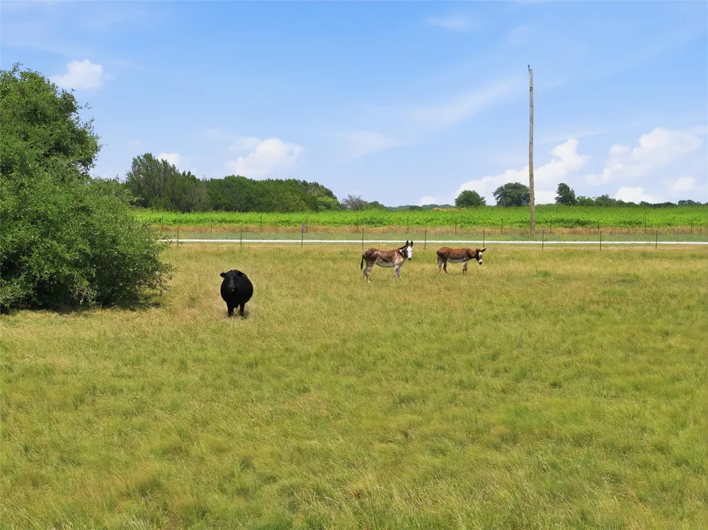 5835 Fm 1744 Hico, TX 76457