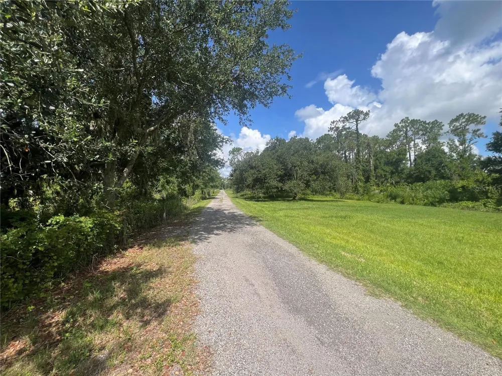 8755 WAUCHULA ROAD Myakka City, FL 34251