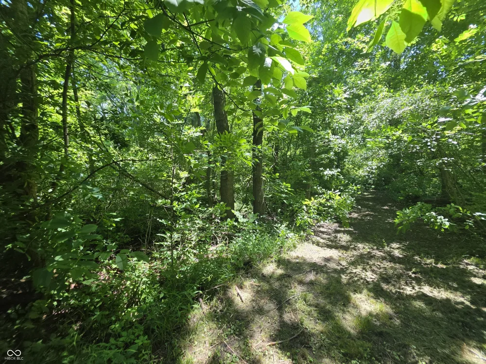 1209 Shelby Street Alexandria, IN 46001