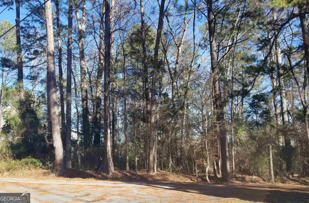 2405 Hi Roc CIR Conyers, GA 30012
