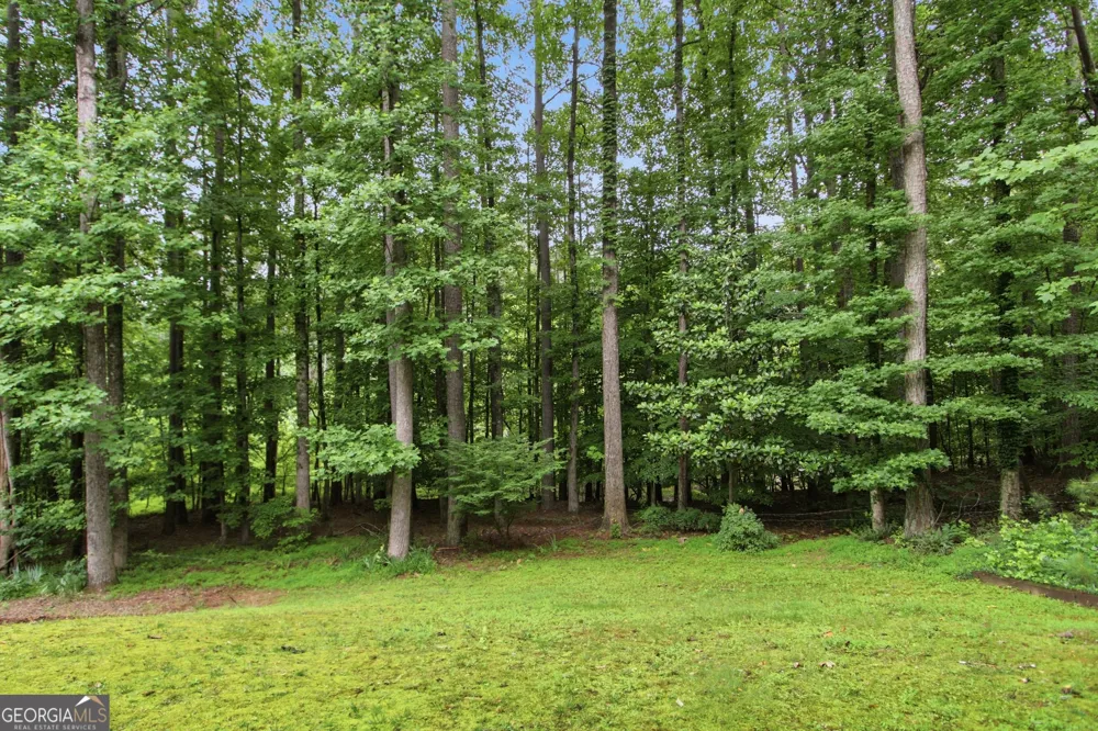 11715 Dunhill Place DR Johns Creek, GA 30005