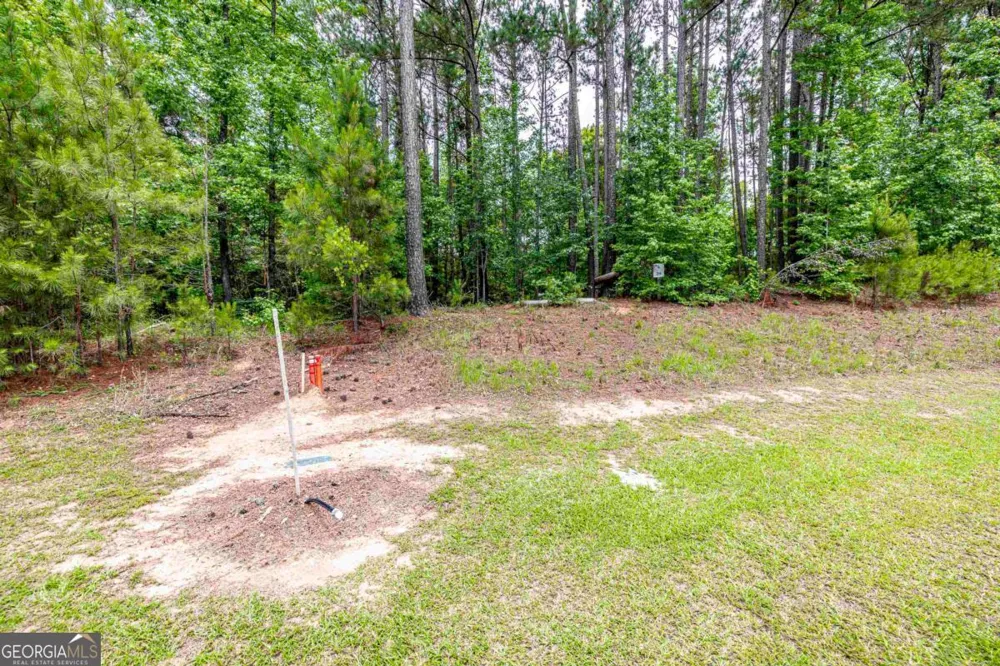 1360 Sailview DR Buckhead, GA 30625