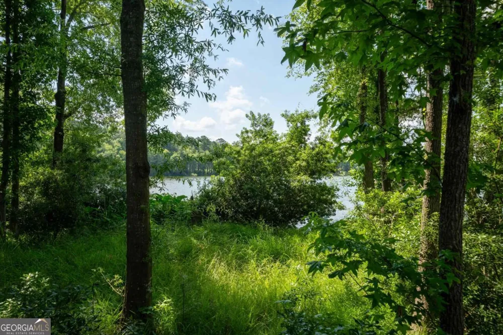 1360 Sailview DR Buckhead, GA 30625