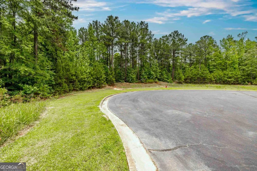1360 Sailview DR Buckhead, GA 30625