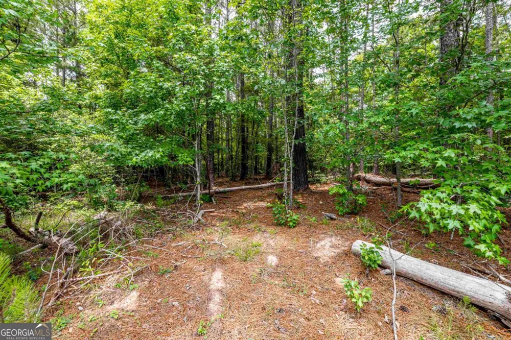 1360 Sailview DR Buckhead, GA 30625