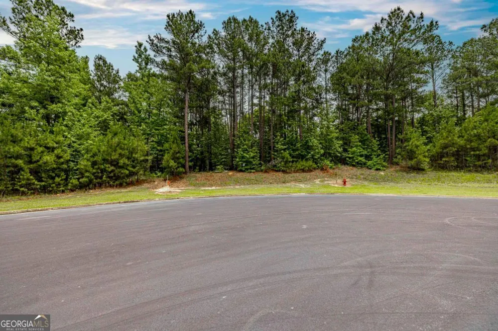 1360 Sailview DR Buckhead, GA 30625