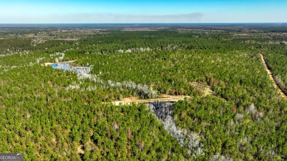 0 Morton RD Dublin, GA 31021