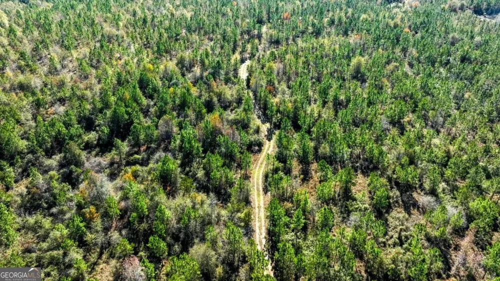 0 Morton RD Dublin, GA 31021