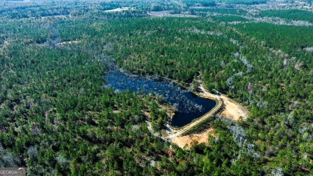 0 Morton RD Dublin, GA 31021