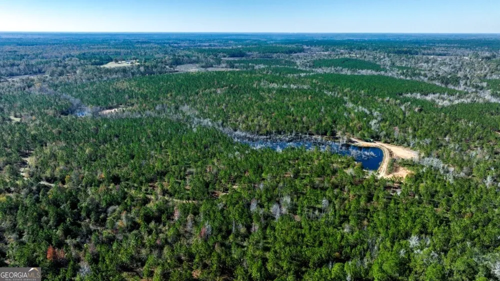 0 Morton RD Dublin, GA 31021