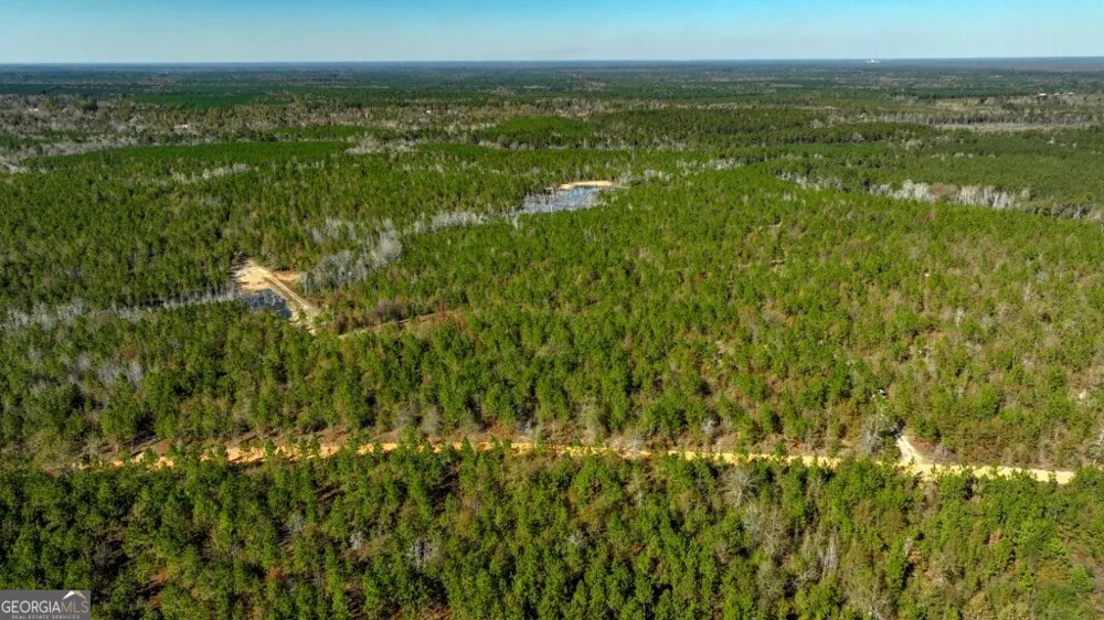 0 Morton RD Dublin, GA 31021
