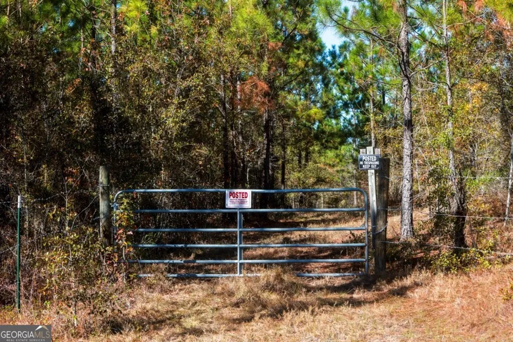 0 Morton RD Dublin, GA 31021