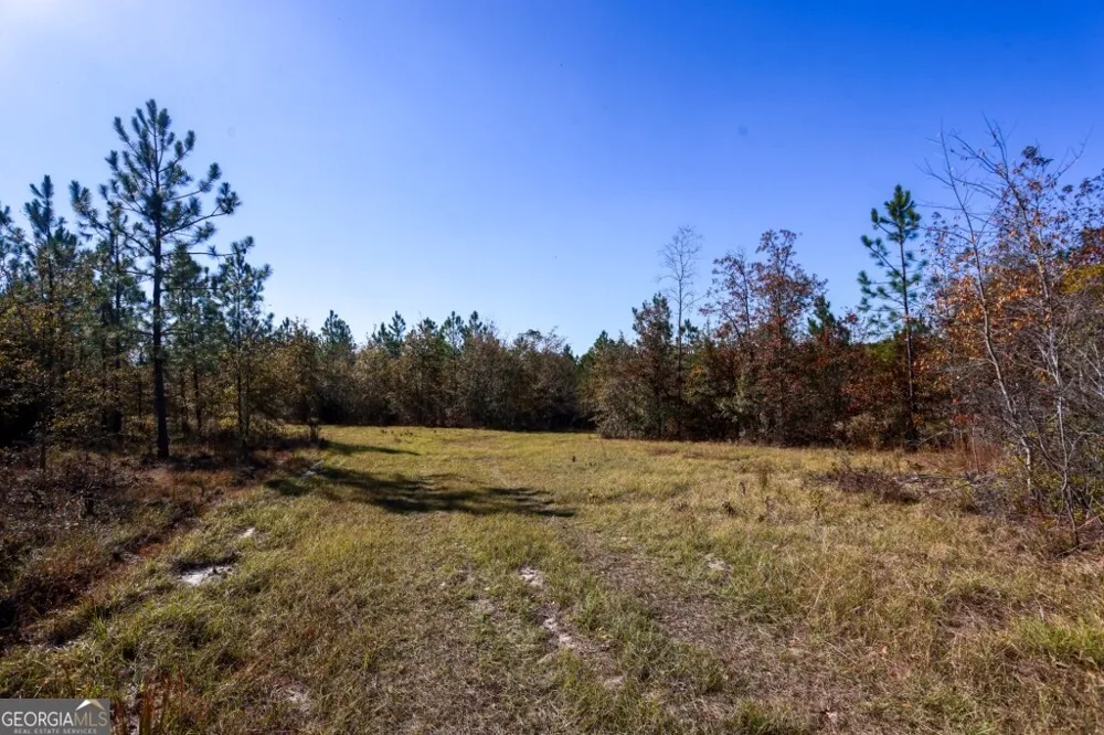 0 Morton RD Dublin, GA 31021