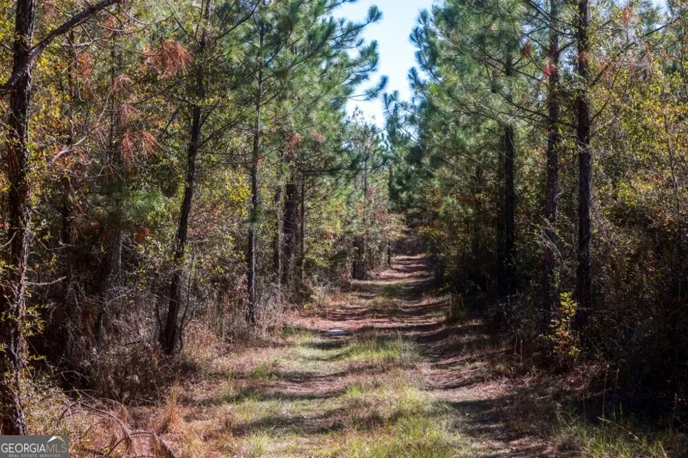 0 Morton RD Dublin, GA 31021