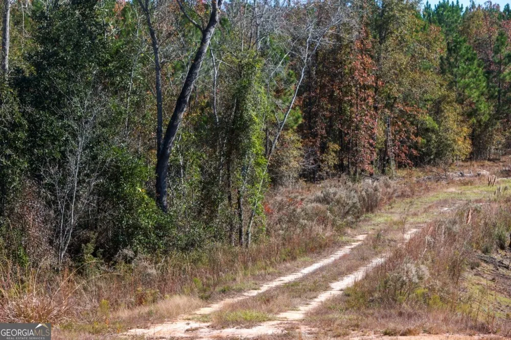 0 Morton RD Dublin, GA 31021