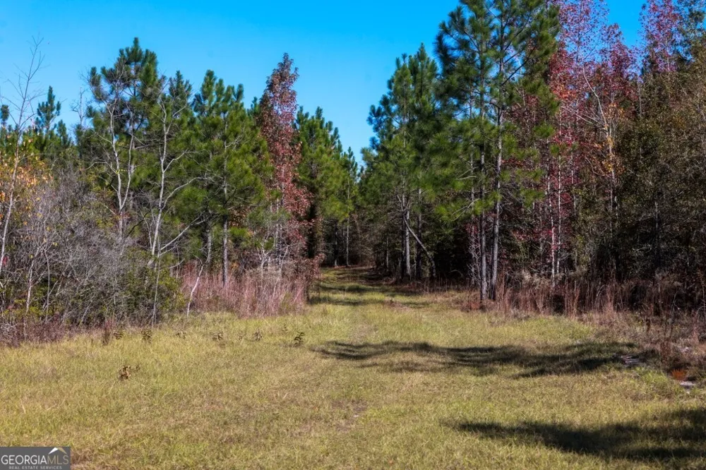 0 Morton RD Dublin, GA 31021