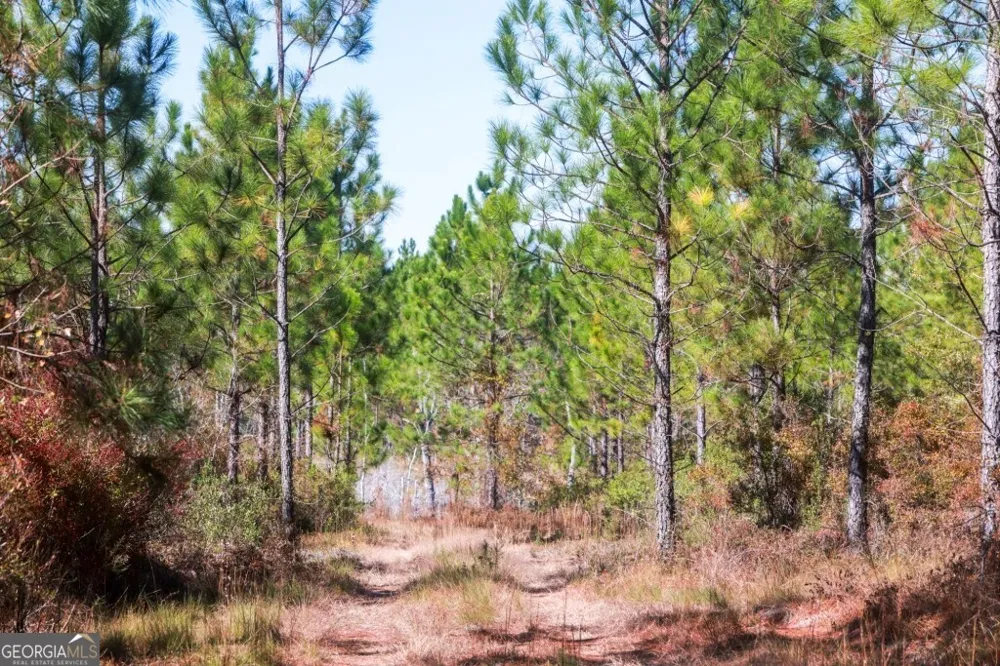 0 Morton RD Dublin, GA 31021