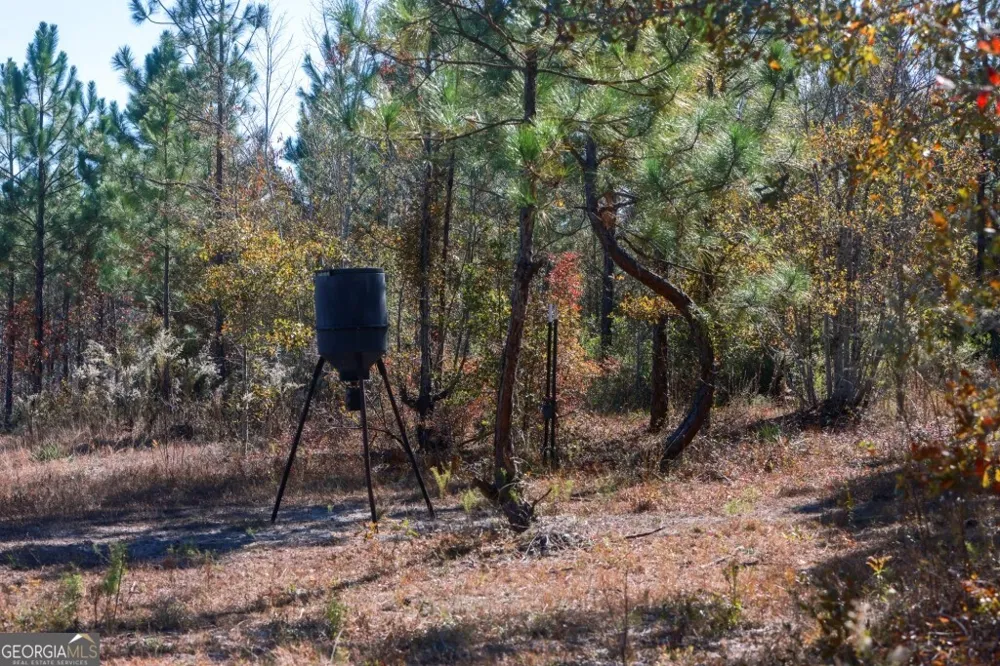 0 Morton RD Dublin, GA 31021