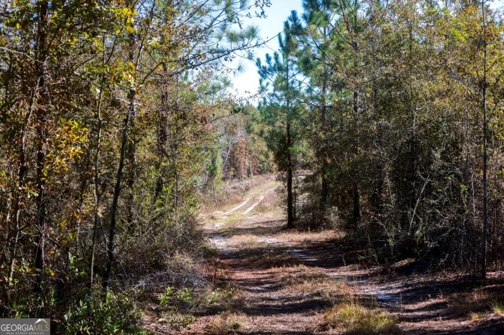 0 Morton RD Dublin, GA 31021
