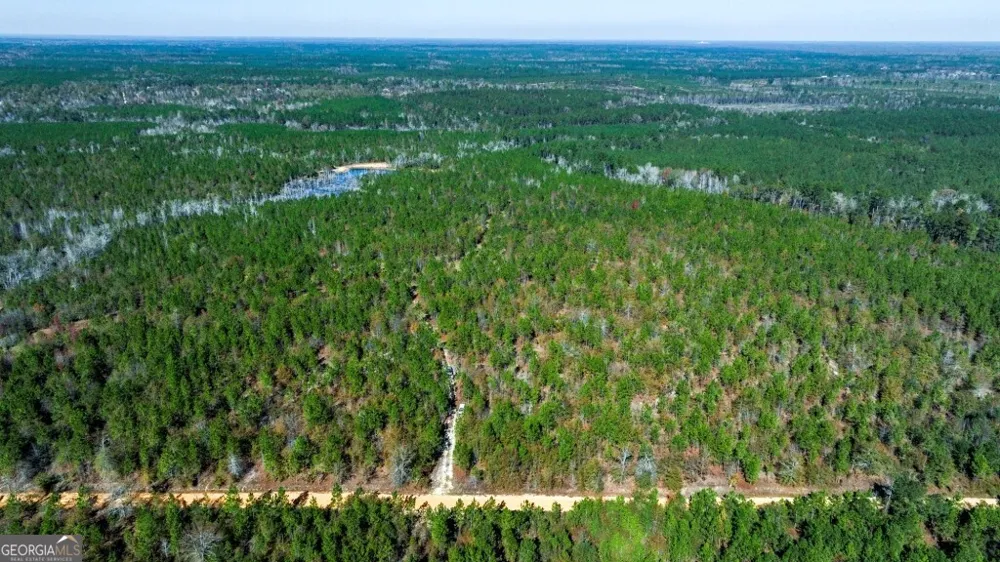 0 Morton RD Dublin, GA 31021