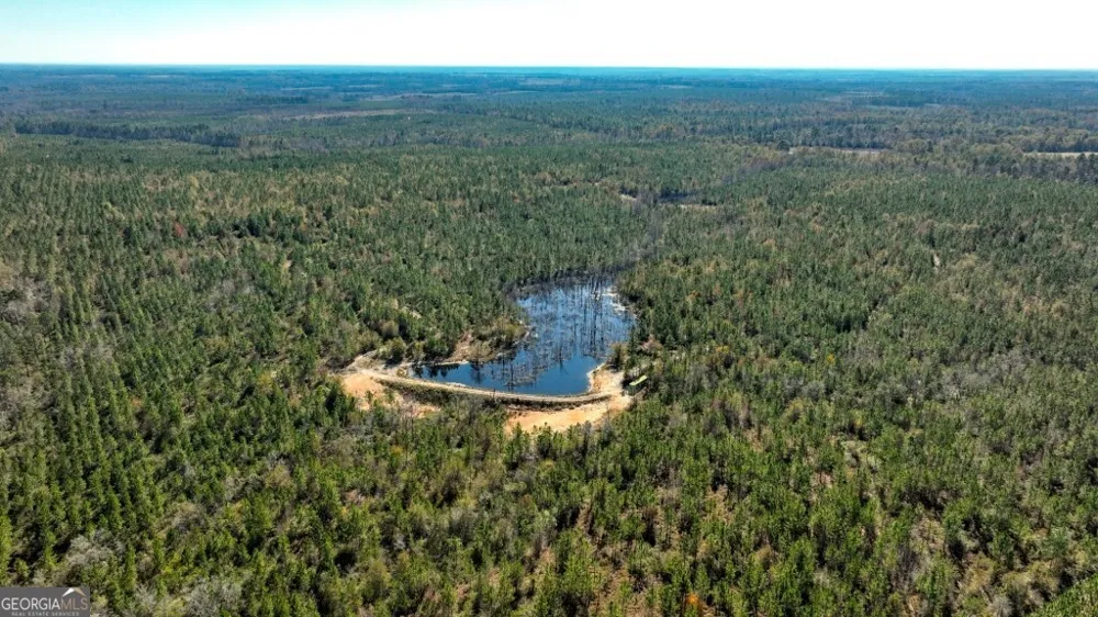 0 Morton RD Dublin, GA 31021