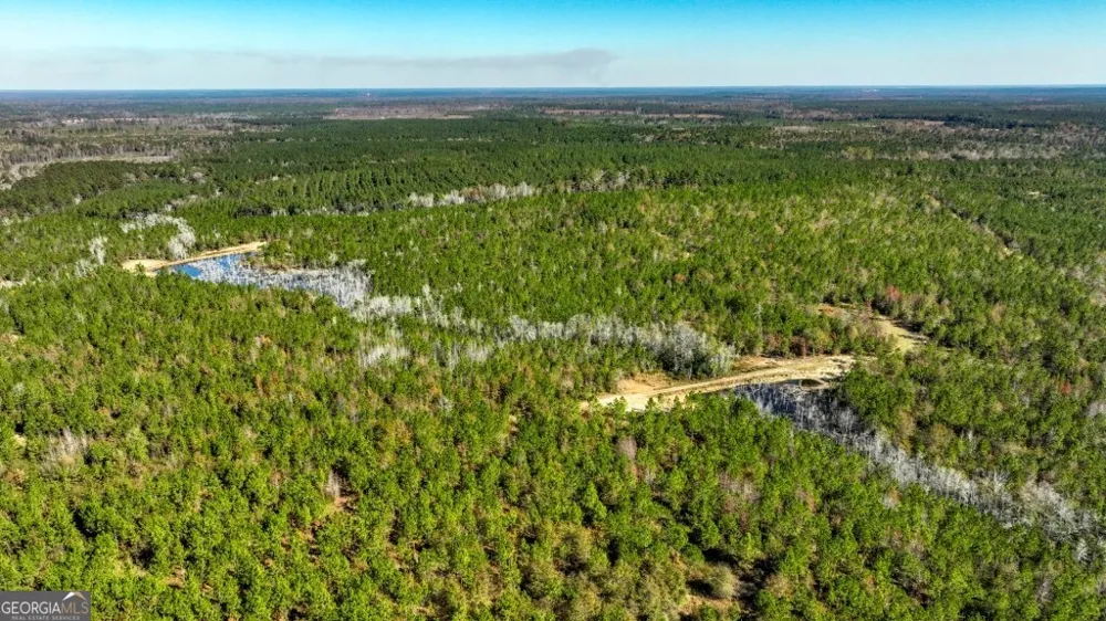 0 Morton RD Dublin, GA 31021