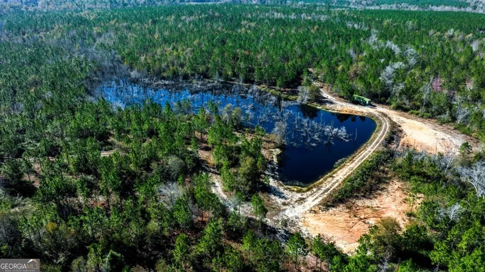 0 Morton RD Dublin, GA 31021