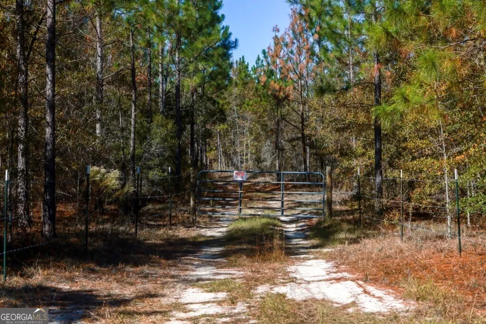 0 Morton RD Dublin, GA 31021
