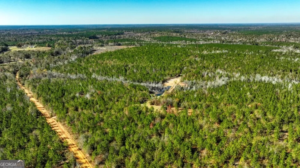 0 Morton RD Dublin, GA 31021