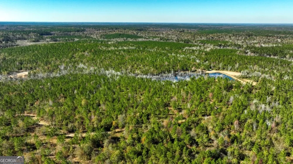 0 Morton RD Dublin, GA 31021