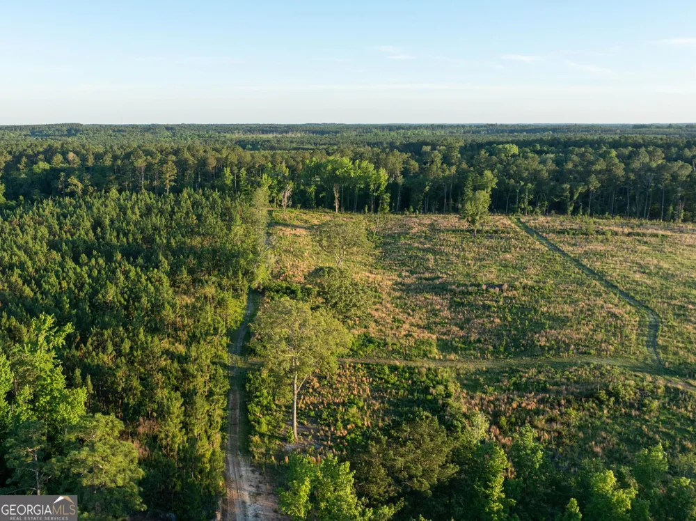 005 Beulah Road Tract 5 Sylvania, GA 30467