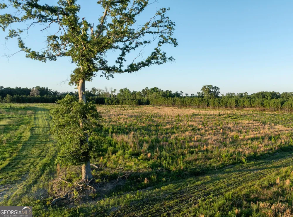 005 Beulah Road Tract 5 Sylvania, GA 30467