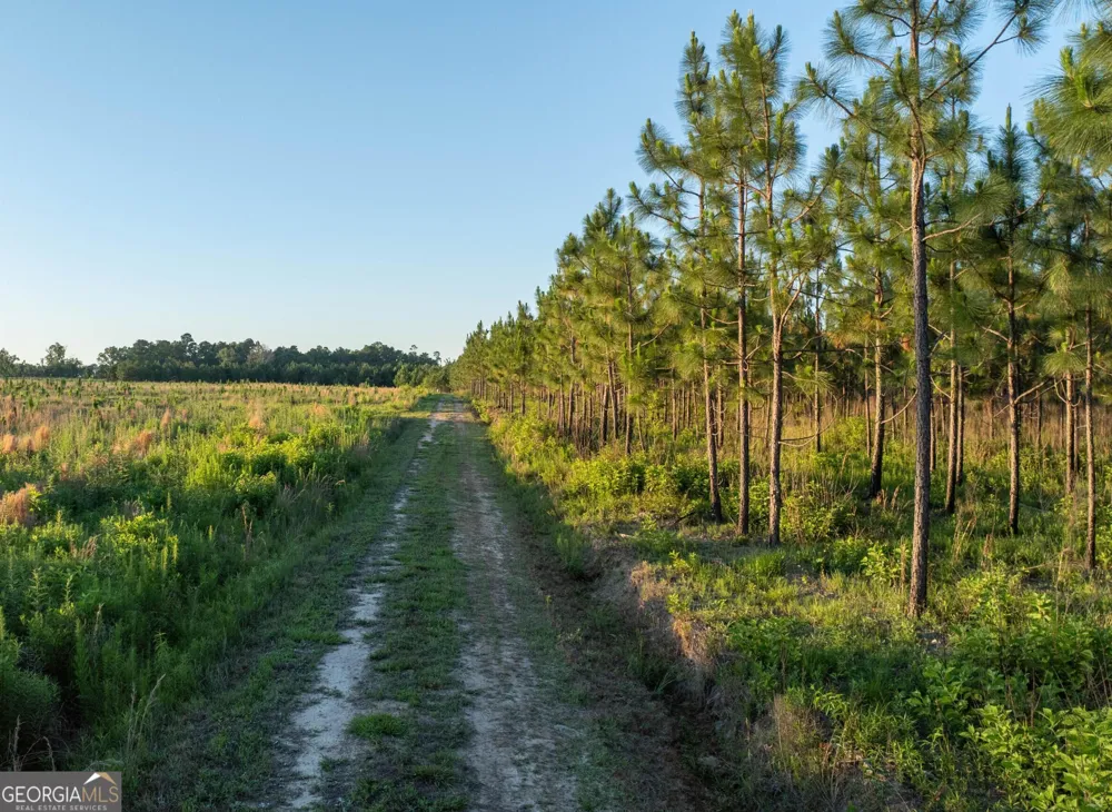 005 Beulah Road Tract 5 Sylvania, GA 30467
