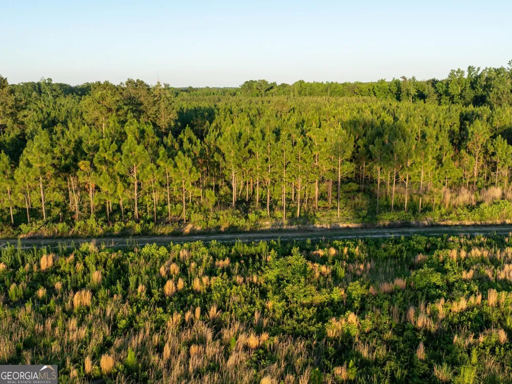 005 Beulah Road Tract 5 Sylvania, GA 30467